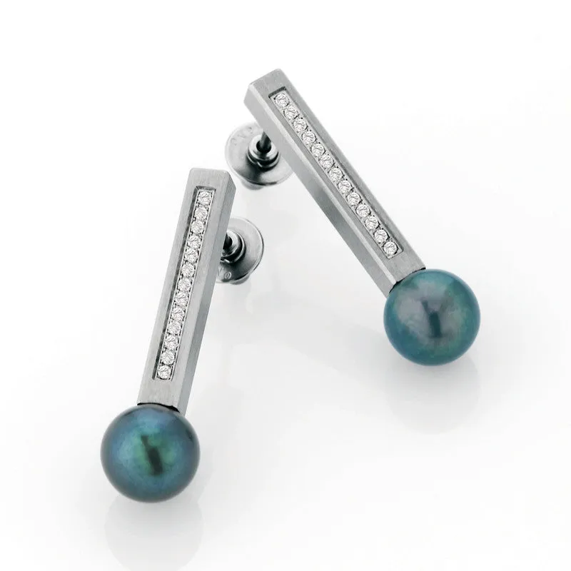 039.21PGP01 TeNo Stainless Steel Earrings