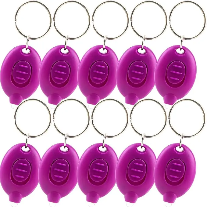 10 Pack Led Flashlight Keychain Bulk Portable Ultra Bright Mini Flashlight Keychain Small Flashlight Key Ring for Outdoor Camping Hiking Activity and Emergency Lighting