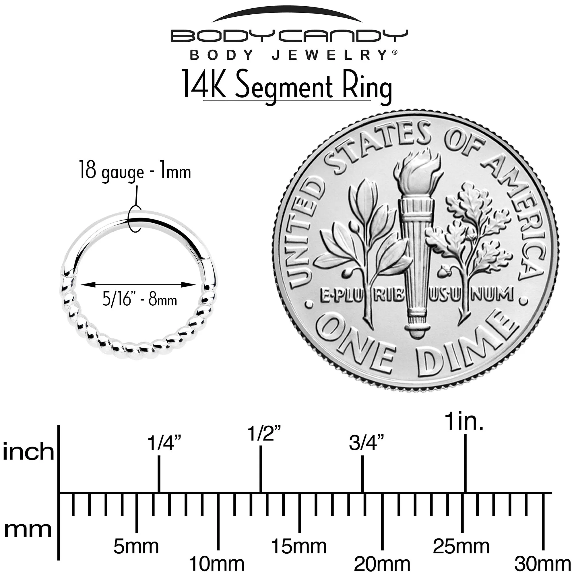 14k Solid White Gold Hinged Segment Ring Forward Facing Twisted 18 Gauge 5/16
