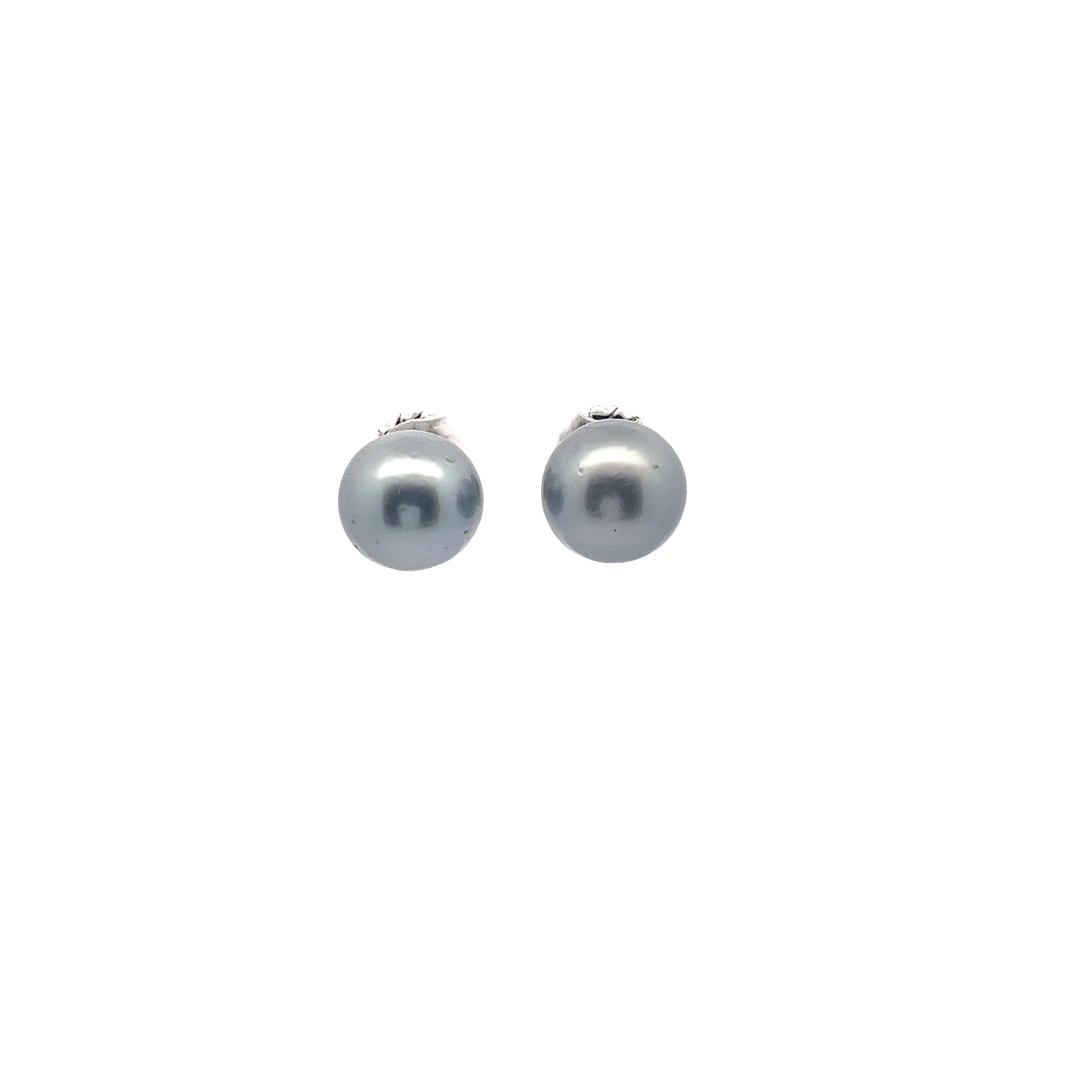 14k White Gold Tahitian Pearl 12.5mm Stud Earrings