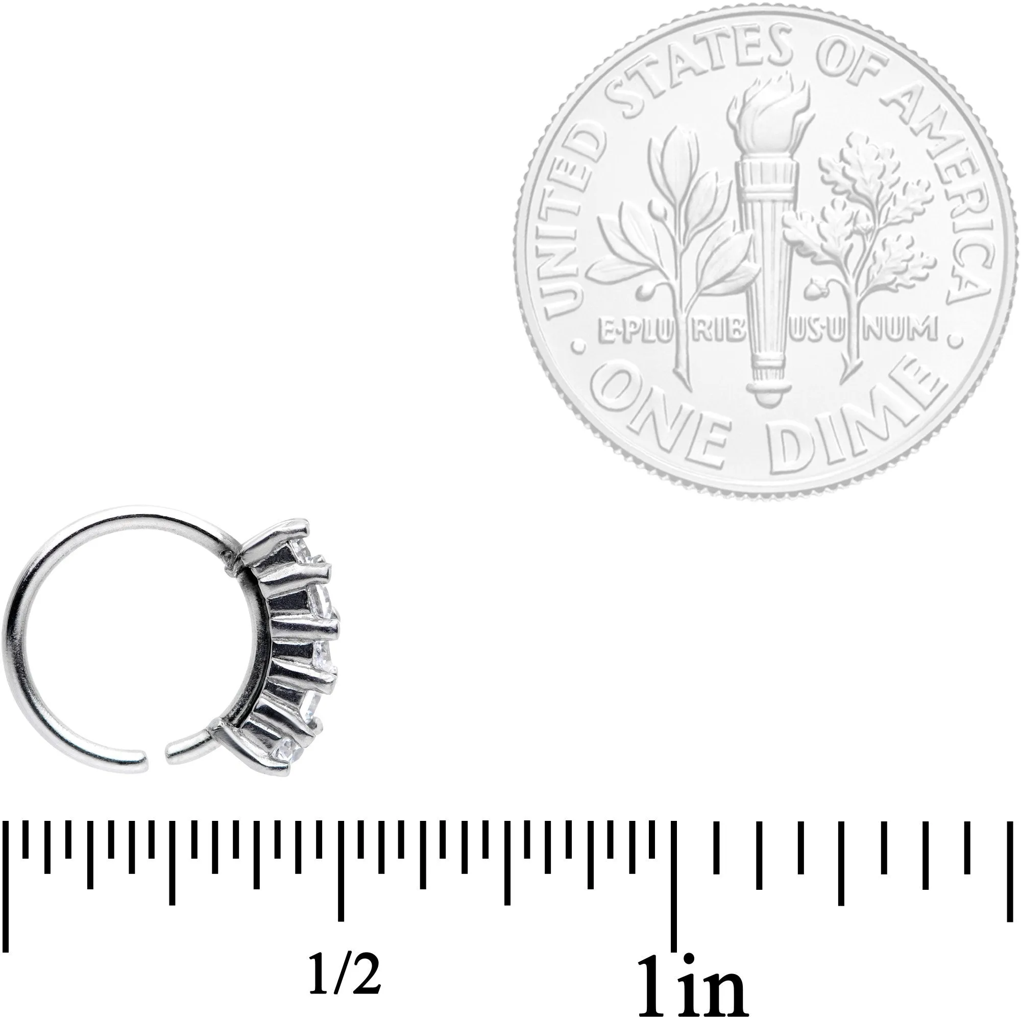 18 Gauge 5/16 Clear CZ Gem Crowning Glory Seamless Circular Ring