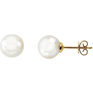 18k Yellow Gold 15mm Full Button South Sea Cultured Fashion Pearl Earrings