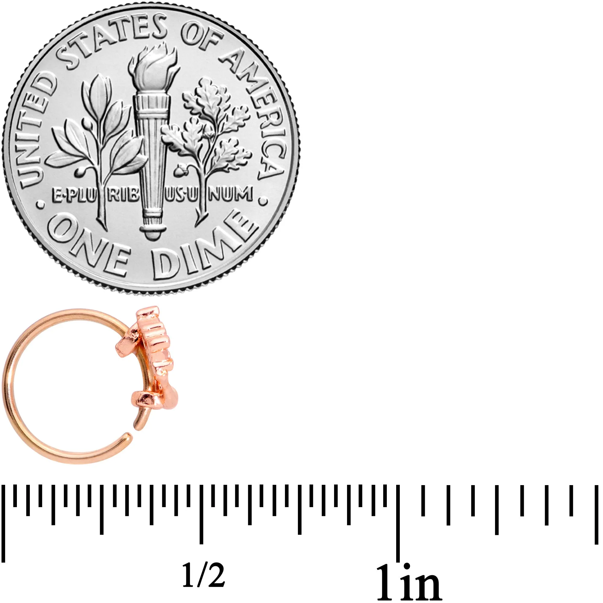 20 Gauge 5/16 Rose Gold Tone Magic Genie Lamp Nose Hoop