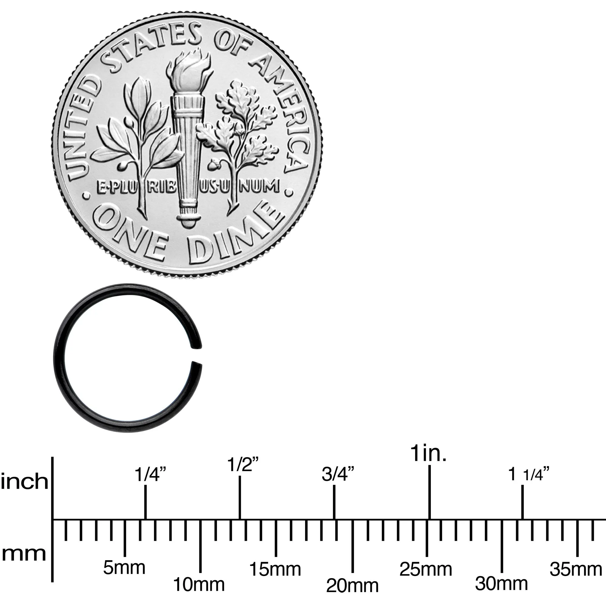 20 Gauge 5/16 Steel Black Anodized Seamless Circular Ring Set of 12