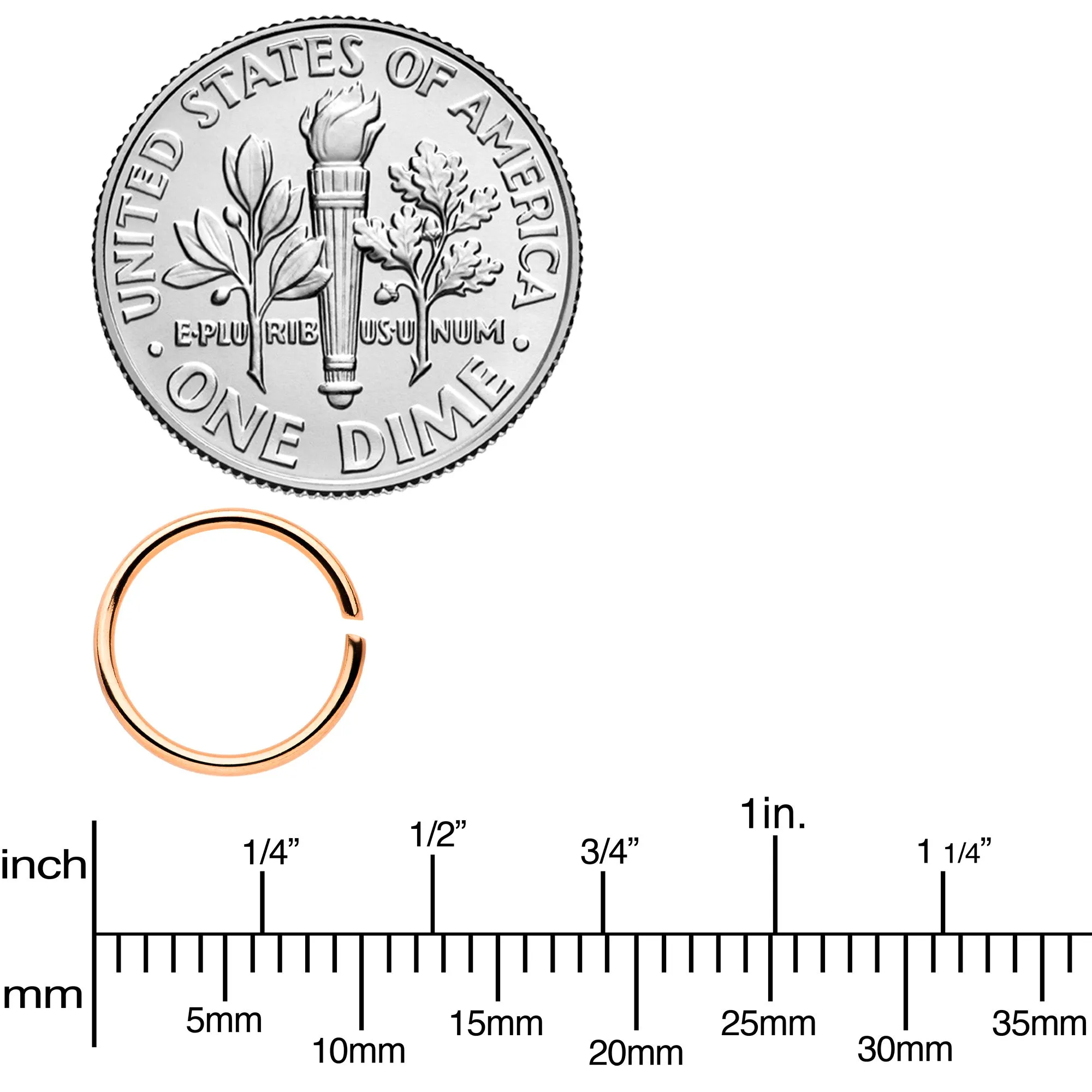20 Gauge 5/16 Steel Rose Gold Tone Anodized Seamless Circular Ring Set of 12