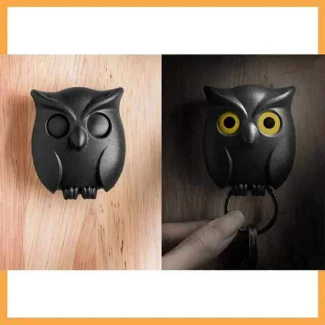 2Pcs Owl Key Hook Key Holder Hooks Hanging Keys It Will Open Eyes Hooks Home Decor