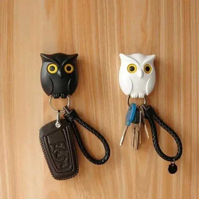 2Pcs Owl Key Hook Key Holder Hooks Hanging Keys It Will Open Eyes Hooks Home Decor