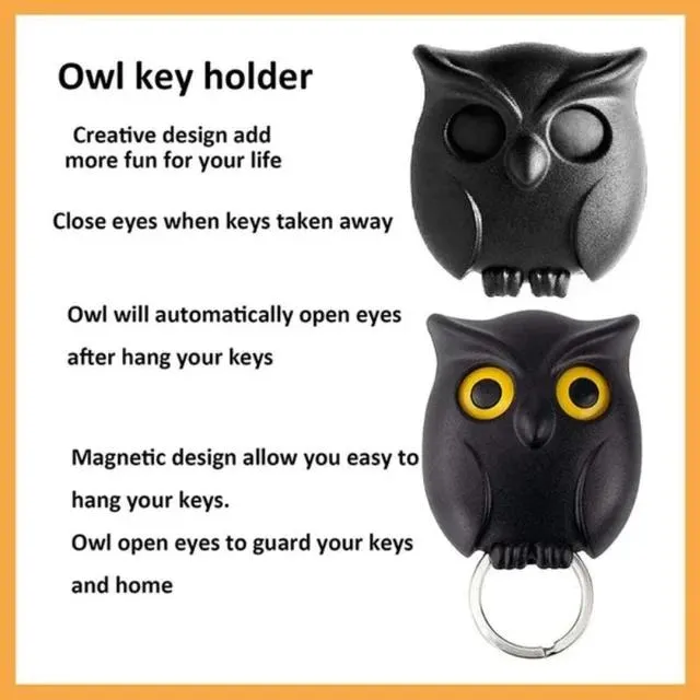 2Pcs Owl Key Hook Key Holder Hooks Hanging Keys It Will Open Eyes Hooks Home Decor