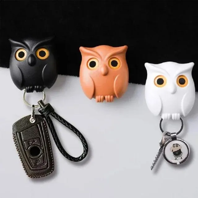 2Pcs Owl Key Hook Key Holder Hooks Hanging Keys It Will Open Eyes Hooks Home Decor
