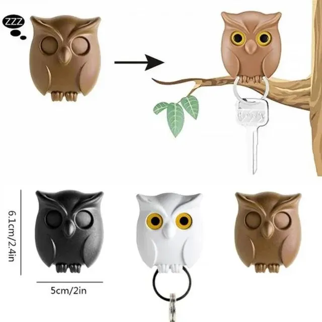 2Pcs Owl Key Hook Key Holder Hooks Hanging Keys It Will Open Eyes Hooks Home Decor