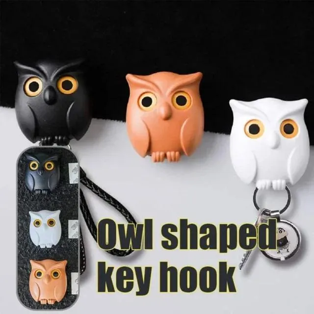 2Pcs Owl Key Hook Key Holder Hooks Hanging Keys It Will Open Eyes Hooks Home Decor