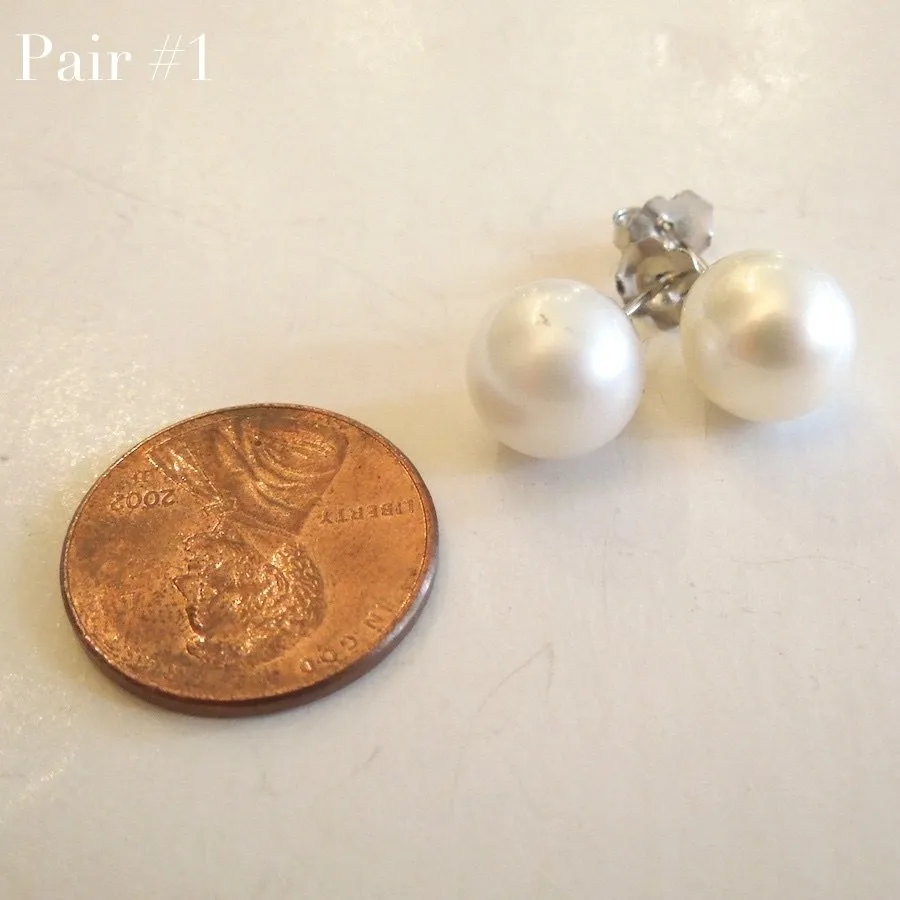 9.5mm South Sea Pearl Stud Earrings in 14K White Gold