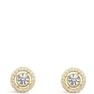 Absolute Gold Halo Stud Earrings