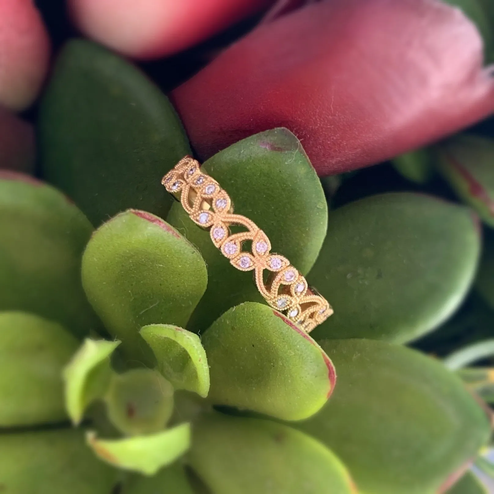 Clover Band