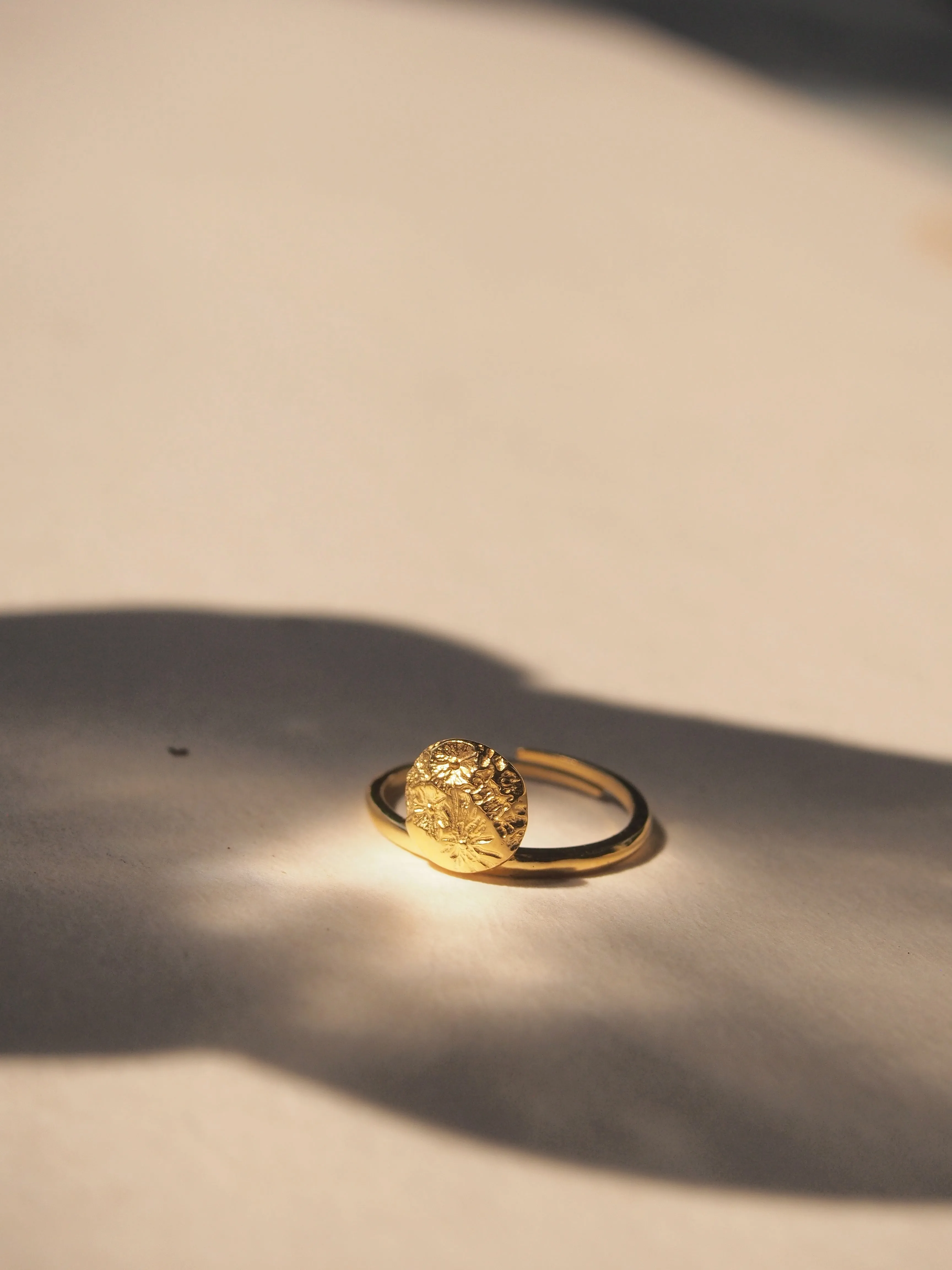 Flying Whale Stacking Ring | Happy Story