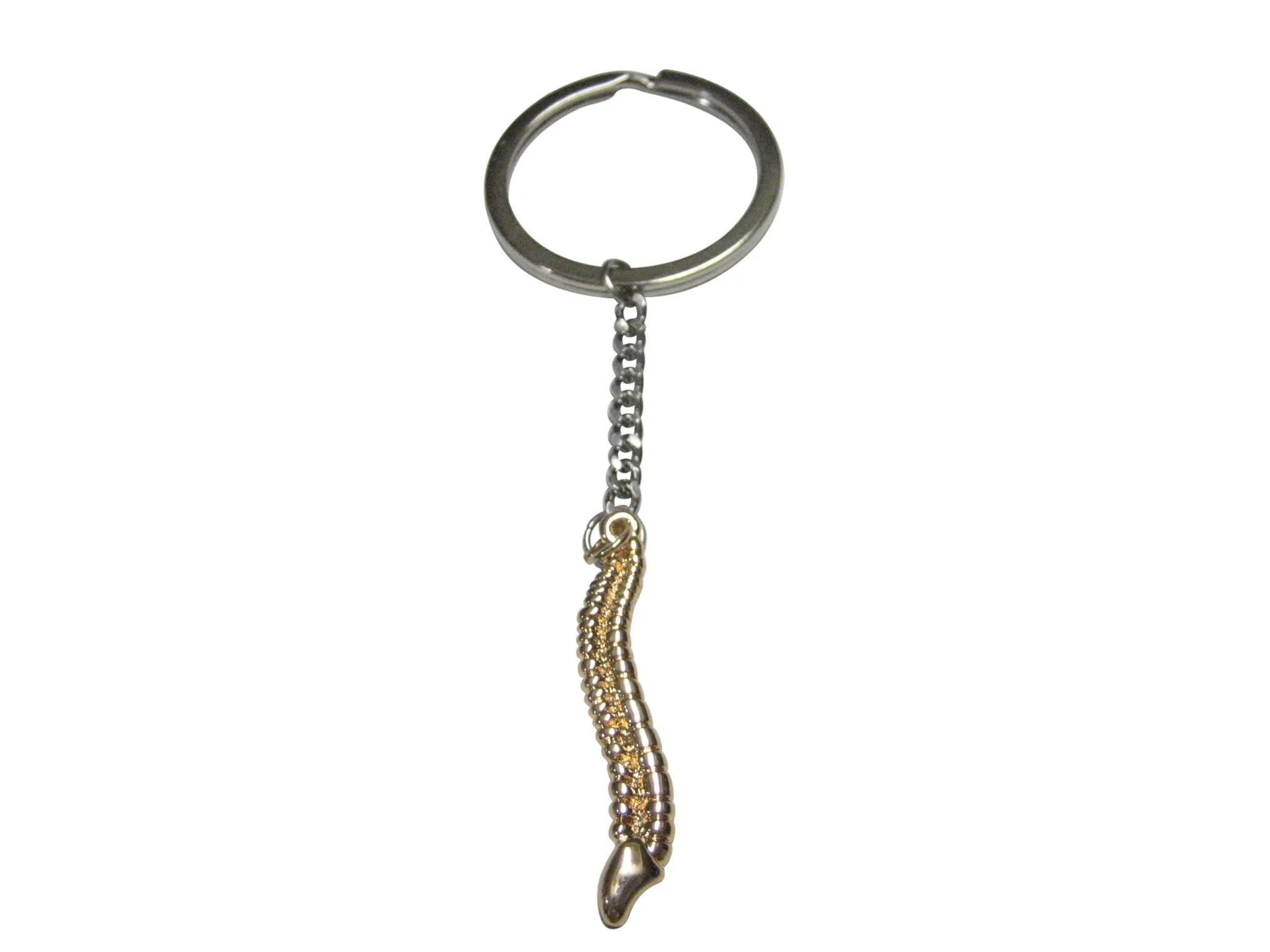 Gold Toned Medical Anatomical Cervical Vertebrae Bone Pendant Keychain