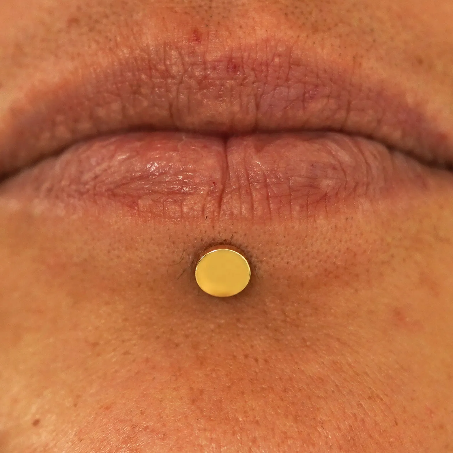 Large Circle Flatback Piercing