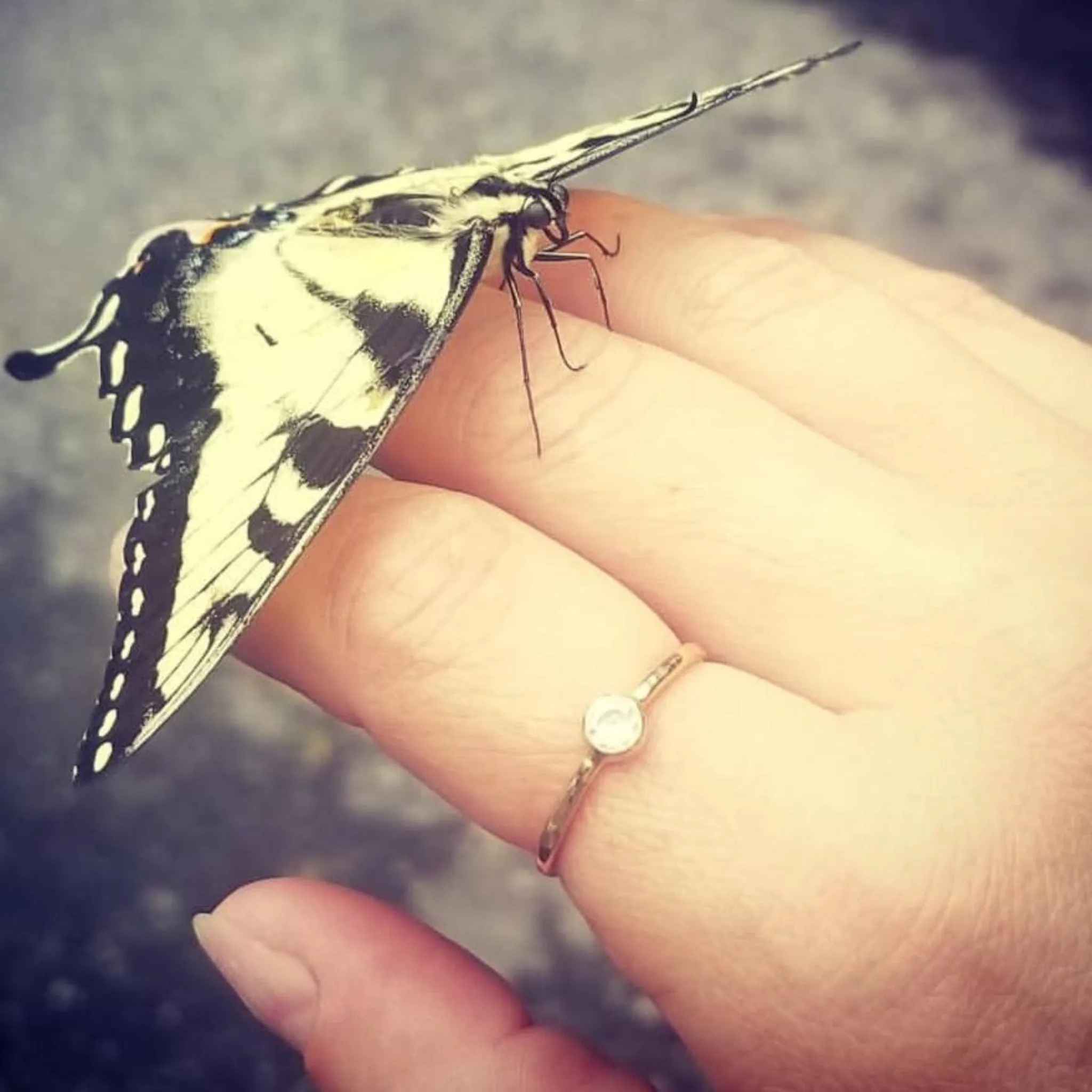 Mini Diamond CZ Stacking Ring  - Sterling, Gold or Rose Gold