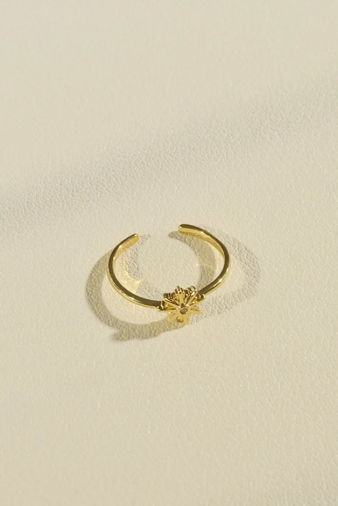 Nova Ring