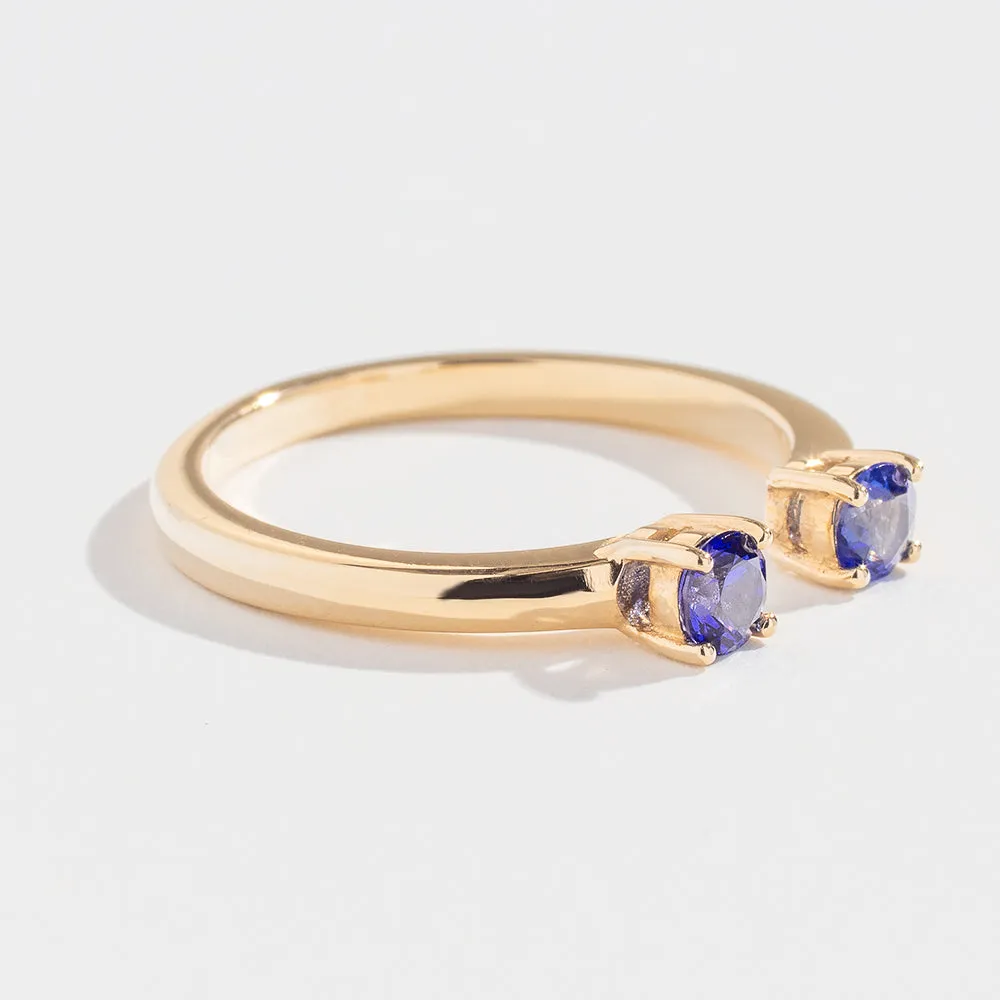 PASSAGE RING | 14K GOLD | TANZANITE