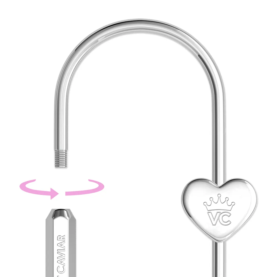 Silver Carabiner Bag Charm