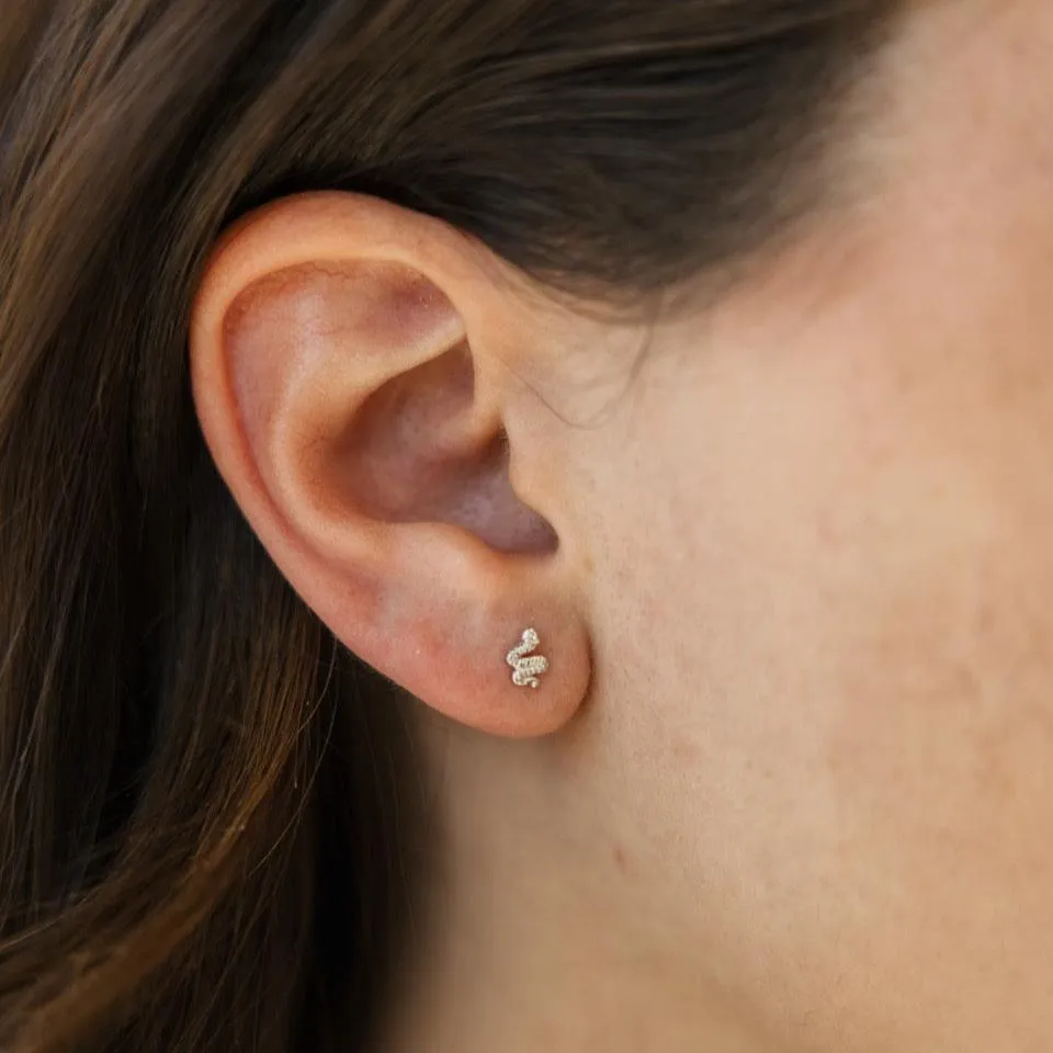 Snake Stud Earrings in Silver