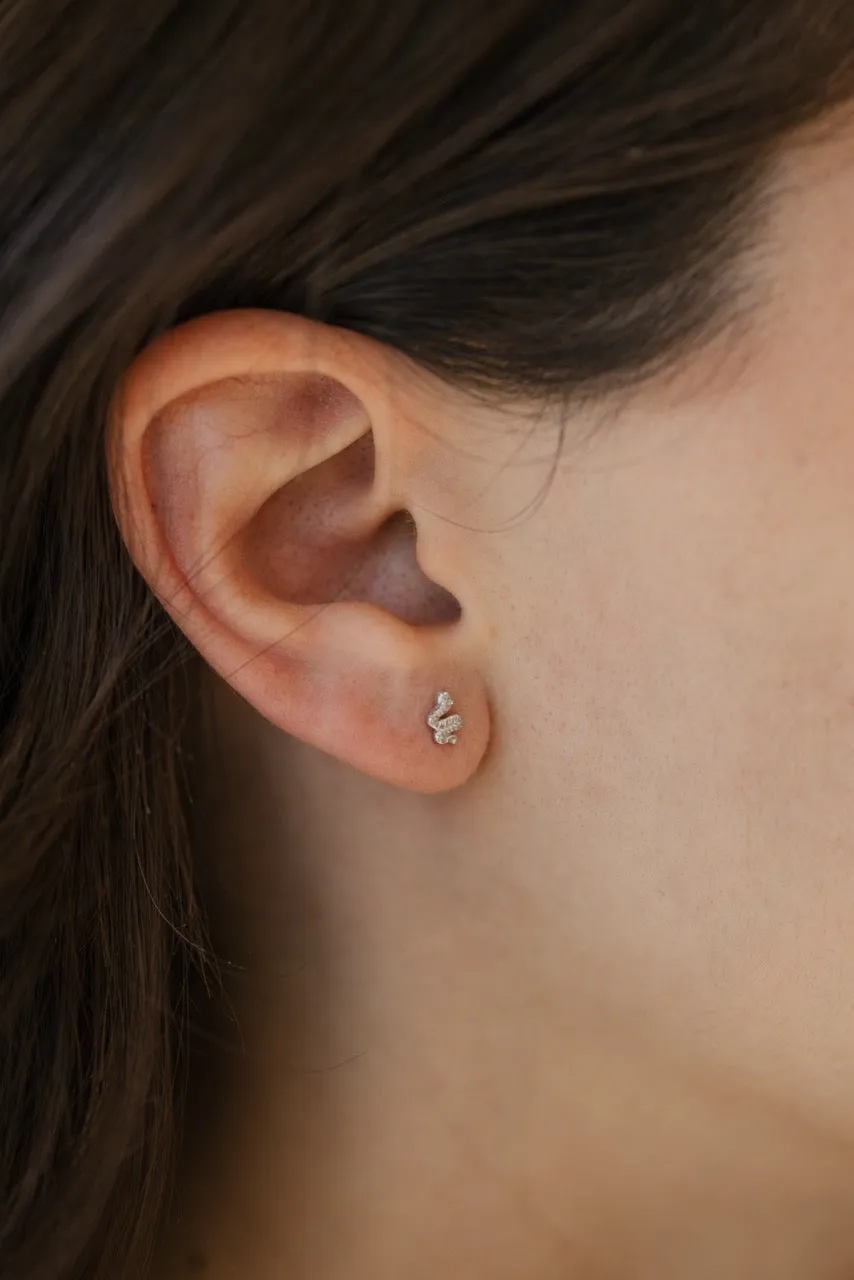 Snake Stud Earrings in Silver