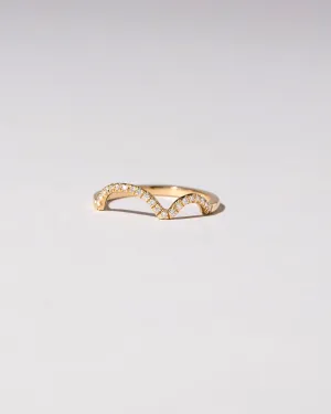 Wiggle Band - Pavé
